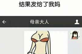 金塔资产调查